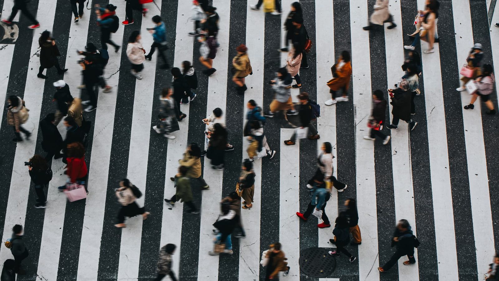 Overhead view of people crossing a zebra crossing